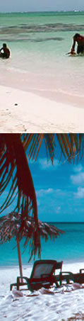 Anegada Pictures