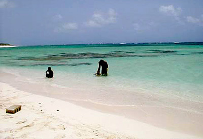 Bringing in the Lobster on Anegada